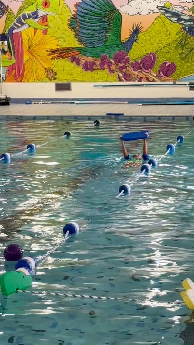 Working hard makes us stronger in every part of life.
Swimming is more than just a sport — it builds confidence, discipline, and resilience in and out of the pool.
Let’s keep pushing, learning, and growing. 💪#Swimming #SwimLife #SwimTraining #LearnToSwim #Motivation #AthleteLife #SwimSchool #TorontoKids #GTAMoms #KidsActivitiesToronto #FitnessJourney #SwimCoach #WaterSafety #SportsForKids #ActiveKids #HealthyKids #TorontoParents #GTAParents #SummerSports #SwimLessons #FelixSwimSchools #Since1986 #SmallClassSizes #FastProgress #GTA